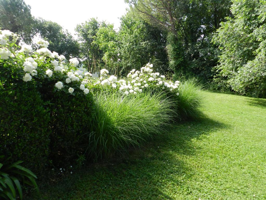 بيزارو B&B I Fiori Della Cava المظهر الخارجي الصورة